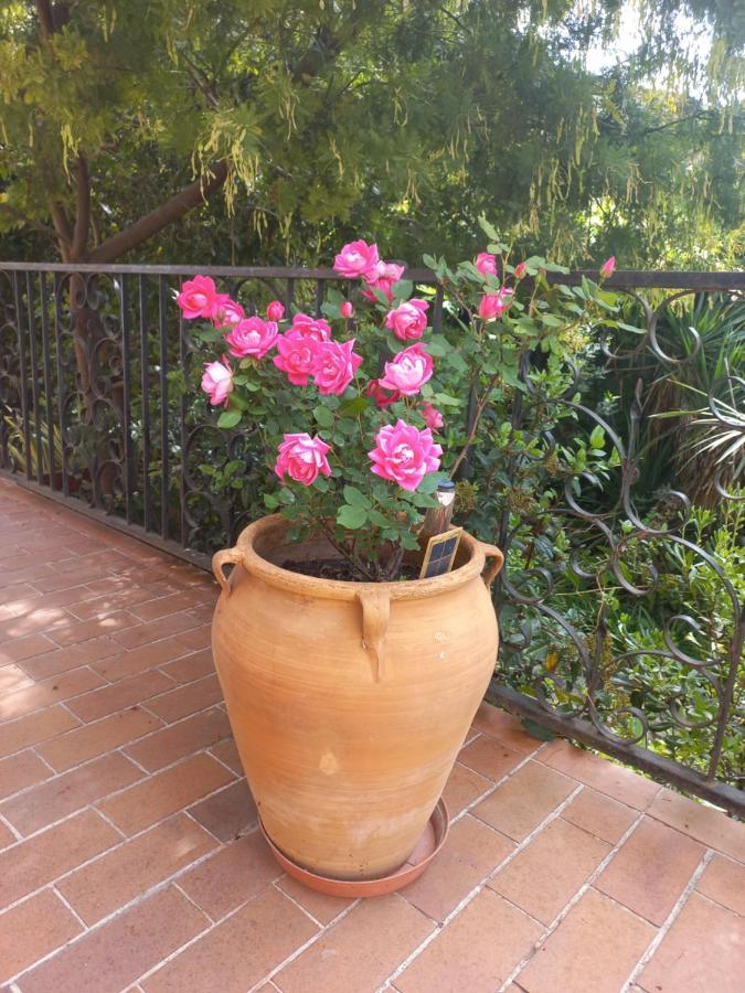 מונפלייה Chambre Dans Villa Charmant Jardin מראה חיצוני תמונה